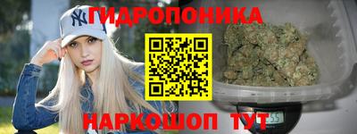 крисы Будённовск