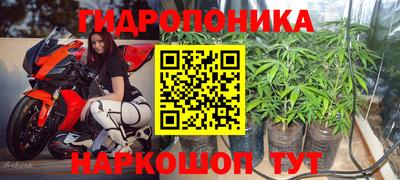 крисы Будённовск