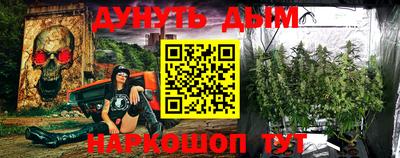 крисы Будённовск
